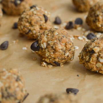 oatmeal bites close up
