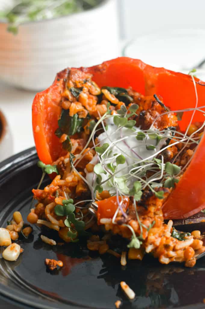 air fryer stuffed peppers