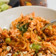 Bowl of spicy peanut noodles.