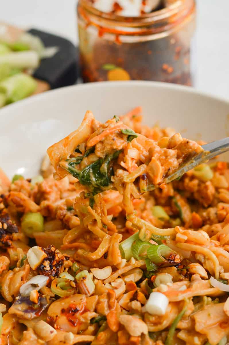 Bowl of spicy peanut noodles.