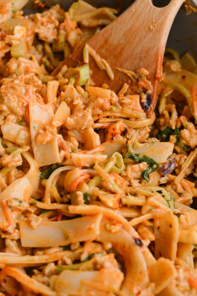 Close up of spicy peanut noodles.