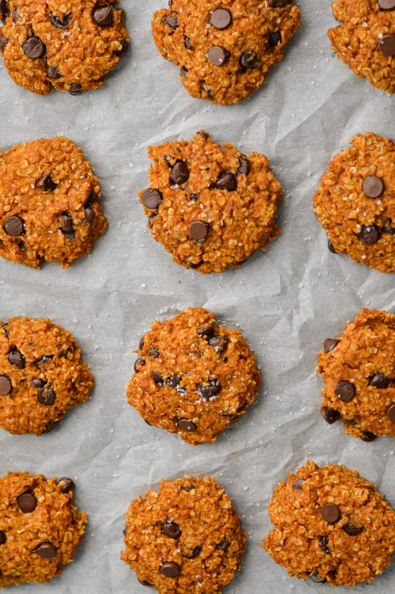 Gluten free pumpkin chocolate chip cookies fresh out of the oven on a tray.