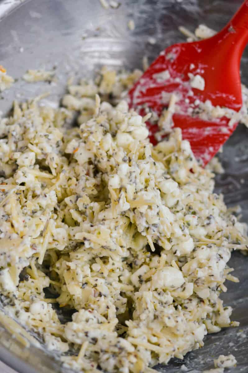 Mixing parmesan, mozzarella, cottage cheese, garlic, italian spice blend and red pepper flakes in a bowl. 
