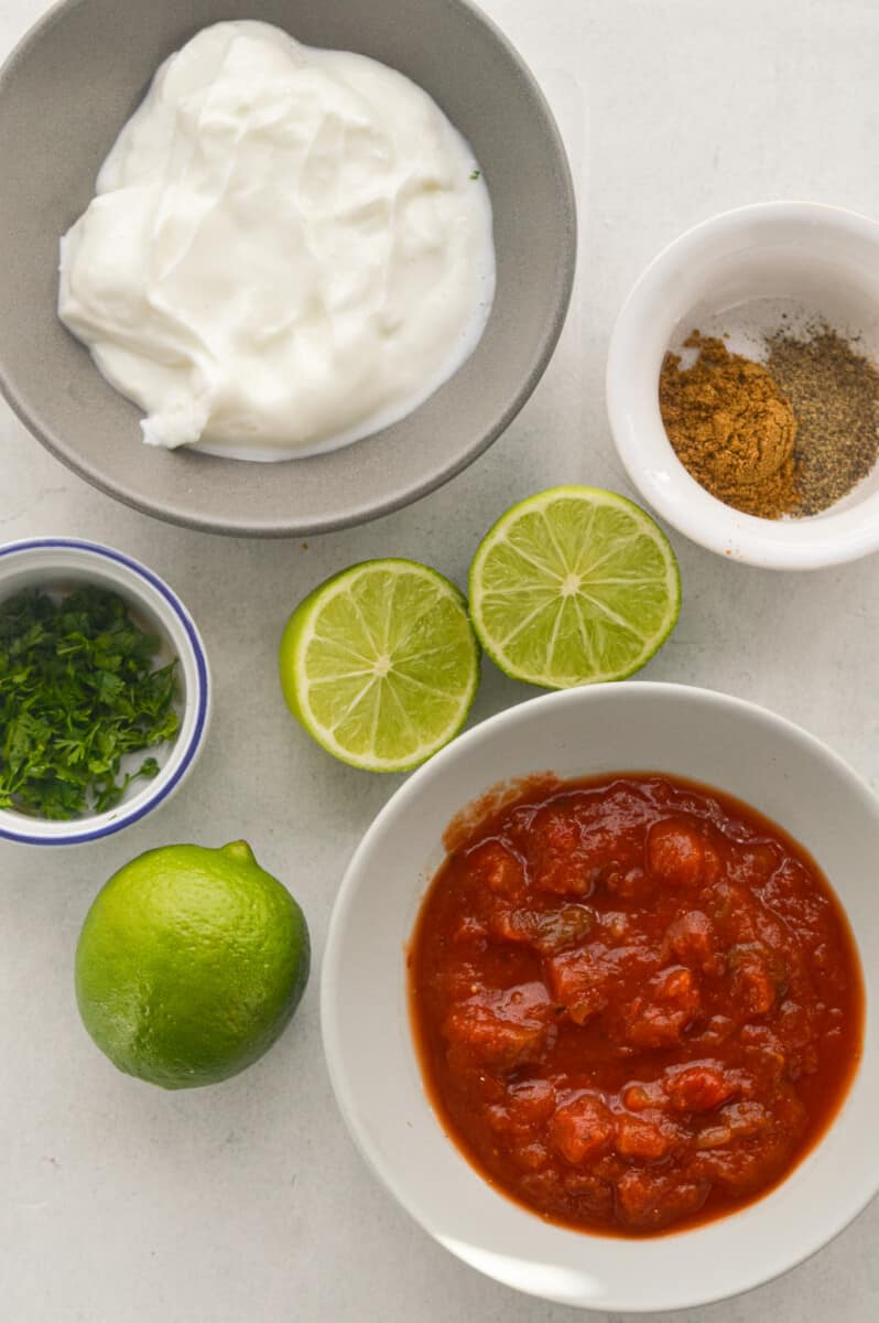 Ingredients including Greek yogurt, salsa, lime, cilantro and seasoning.