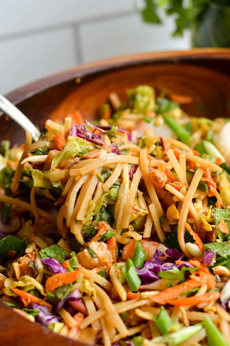 Close up of scooping spring roll salad.