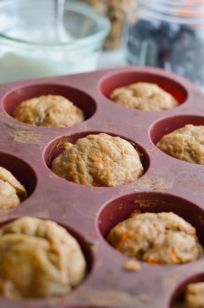 Close up of muffin tray with baked muffins.