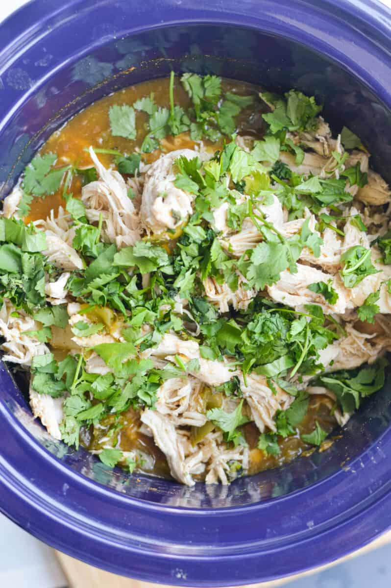 Shredding chicken and adding herbs into crockpot.