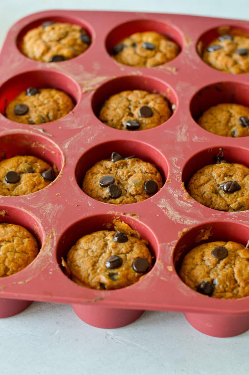 Baking pumpkin protein muffins.