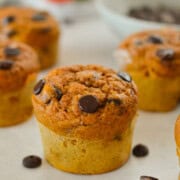 Close up of a pumpkin protein muffin with chocolate chips.