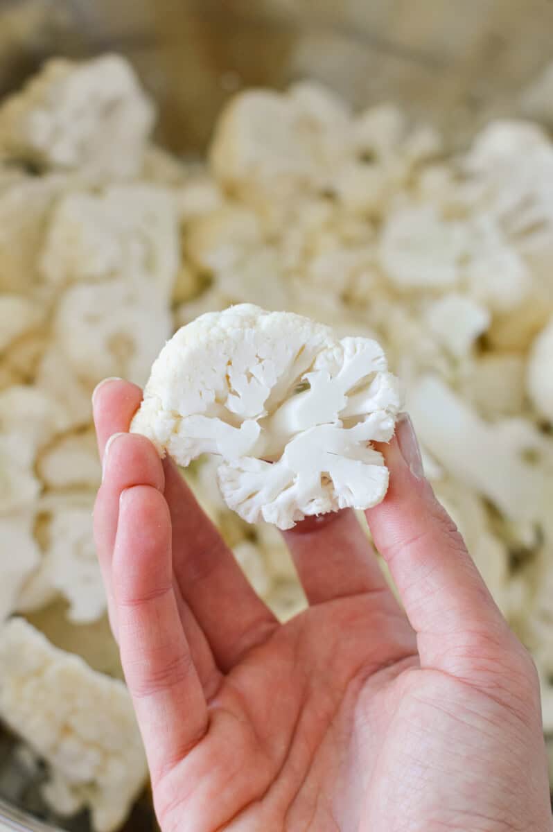 Hand holding a cauliflower floret.