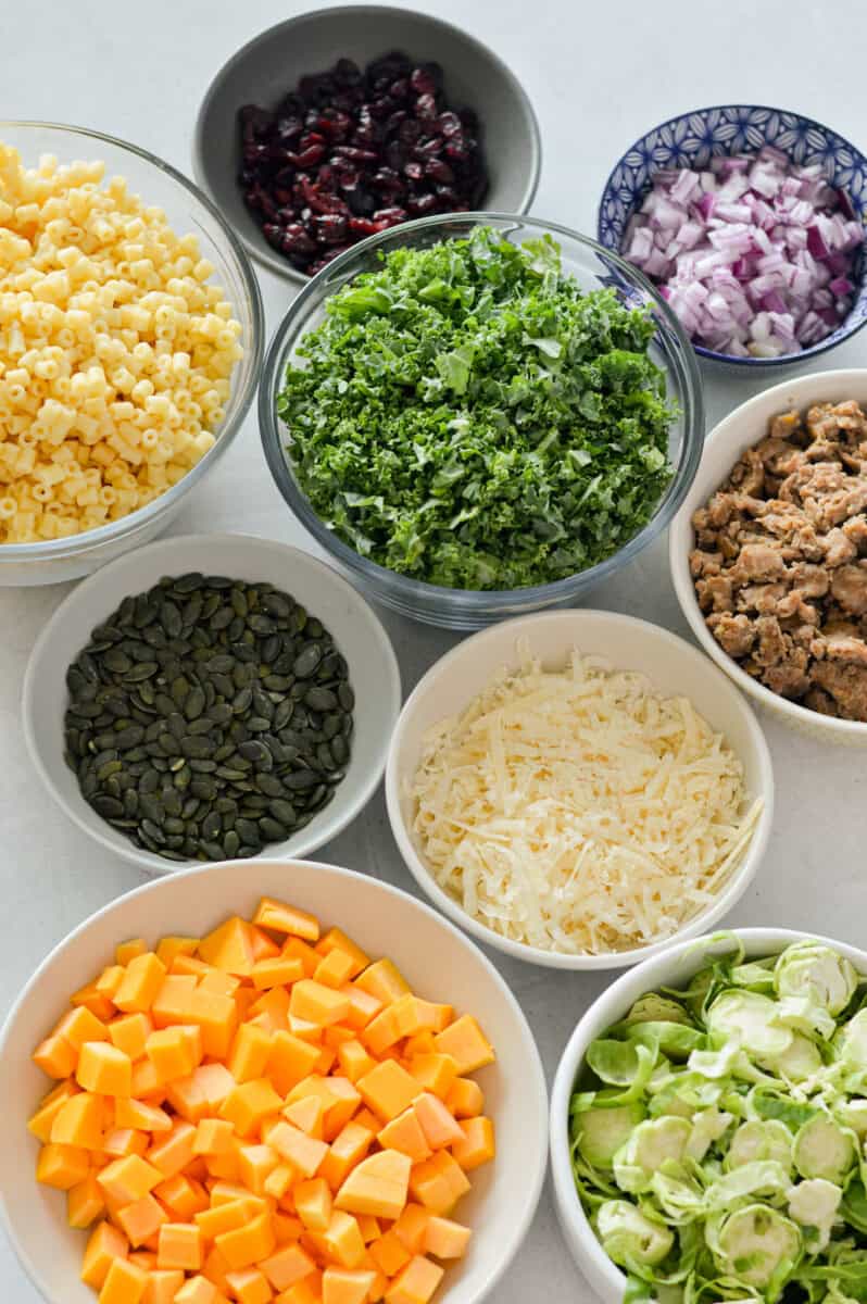 Ingredients including kale, brussels sprouts, butternut squash, pasta, dried cranberries, pumpkin seeds, turkey sausage, parmesan and red onion.