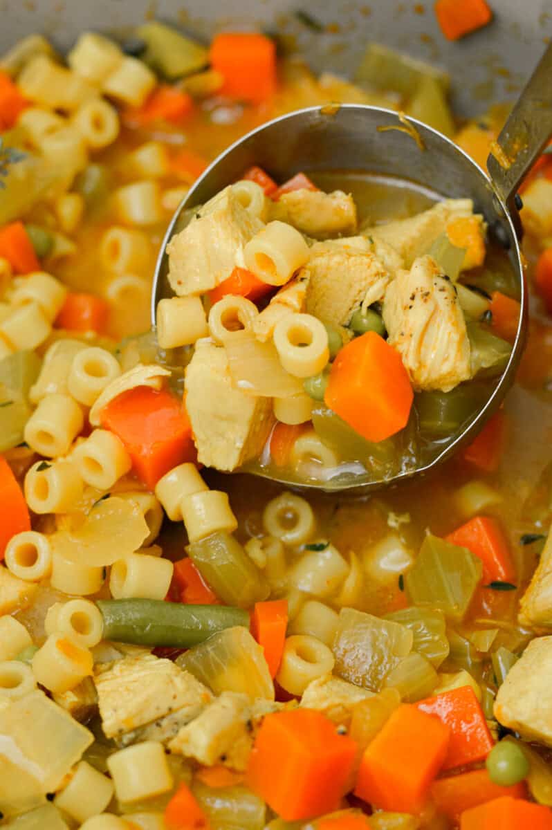 Close up of chicken and vegetable noodle soup.