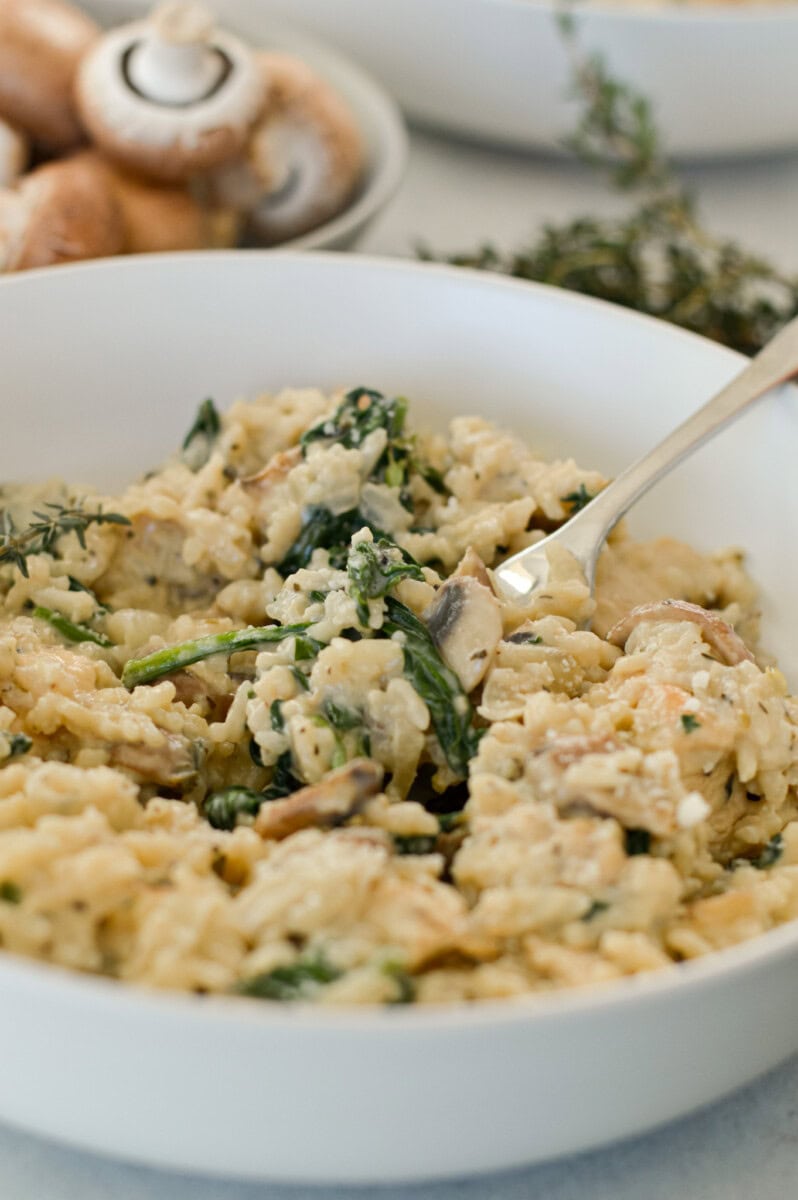 Close up of a bowl with creamy mushroom chicken and rice.