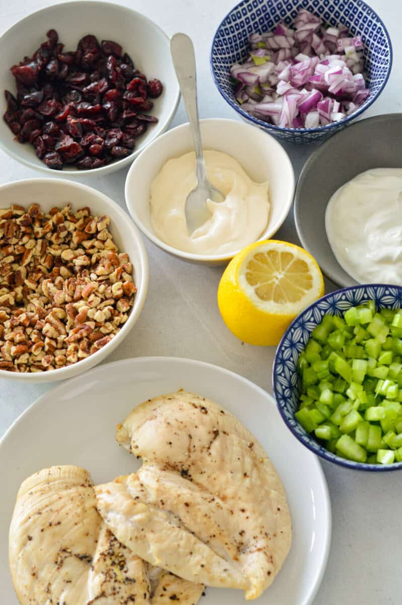 Ingredients including celery, chicken breast, spices, dried pecans, red onion, lemon, Greek yogurt, and mayonnaise.