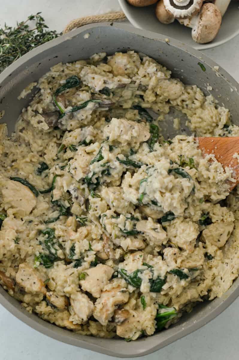 Birds eye of one pan creamy mushroom chicken and rice.