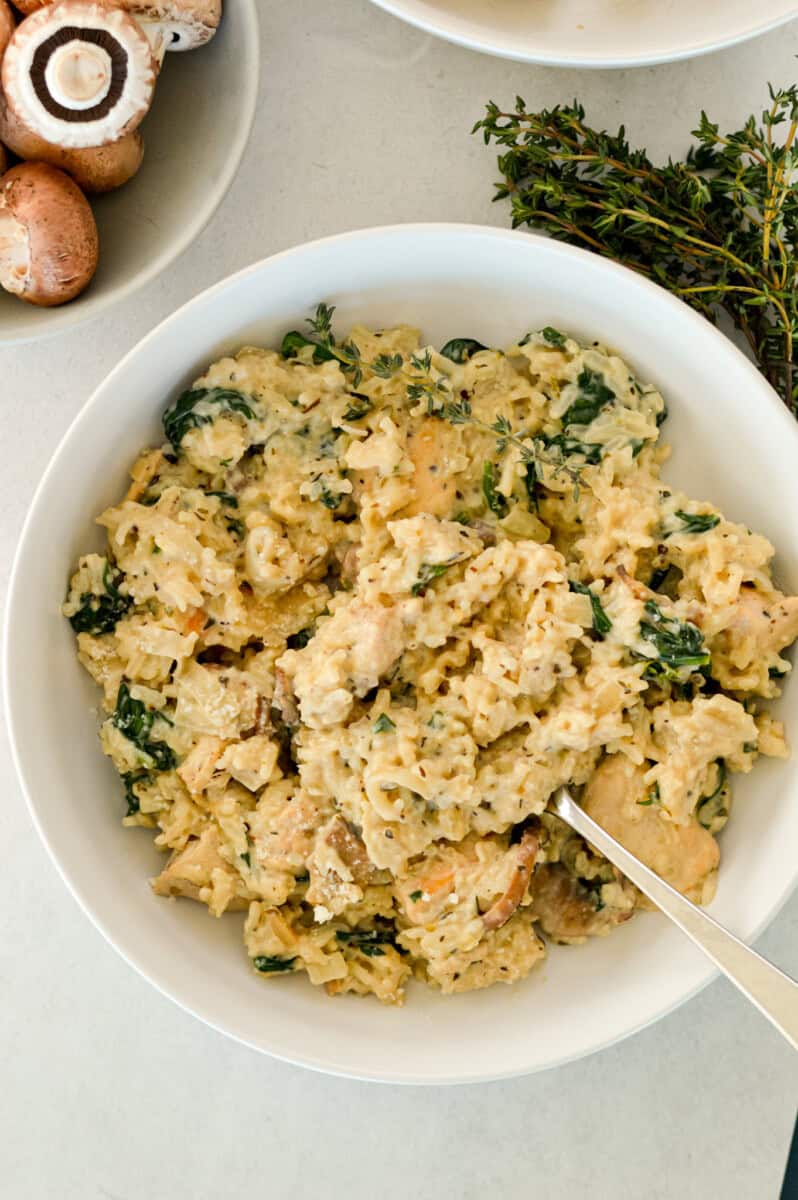 Birds eye of creamy mushroom chicken and rice in a bowl.