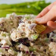 Dipping a cracker in cranberry chicken pecan salad.
