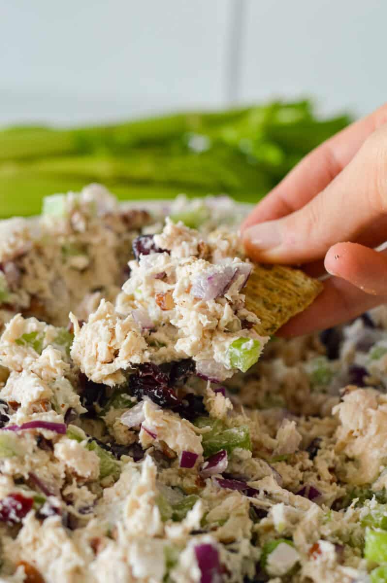 Dipping a cracker in cranberry chicken pecan salad.