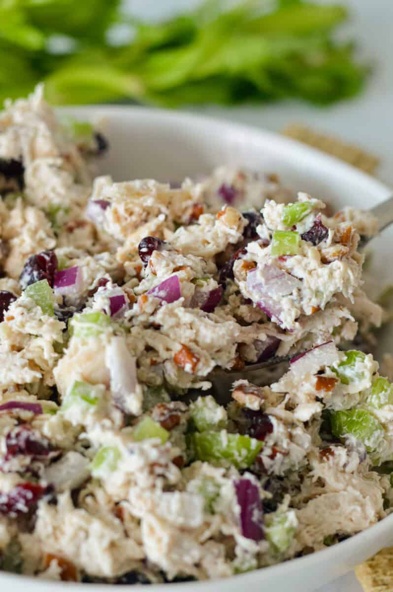 Mixed bowl of cranberry pecan chicken salad.