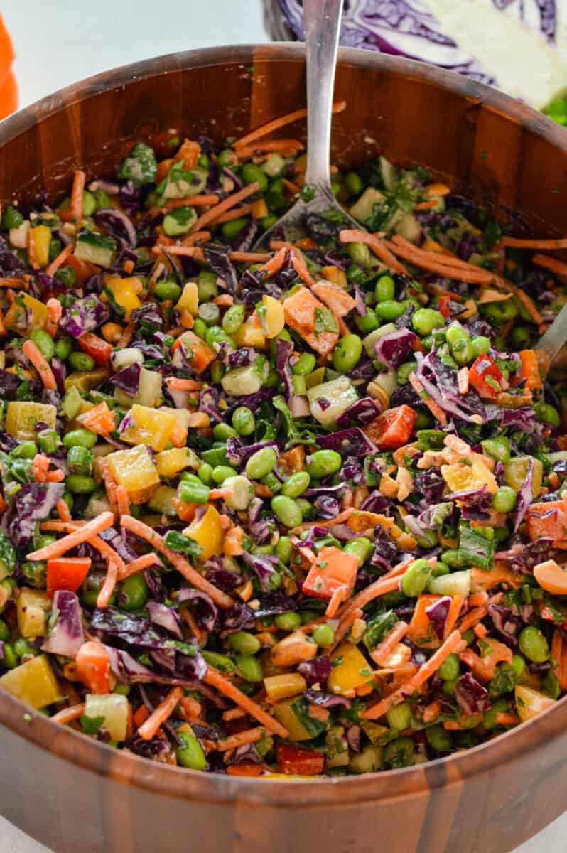 Close up of mixed rainbow edamame salad.