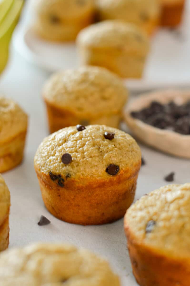 Protein banana muffins with chocolate chips.