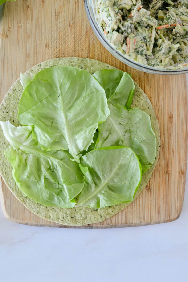 Assembling chicken wrap with a layer of boston lettuce on top of tortilla.