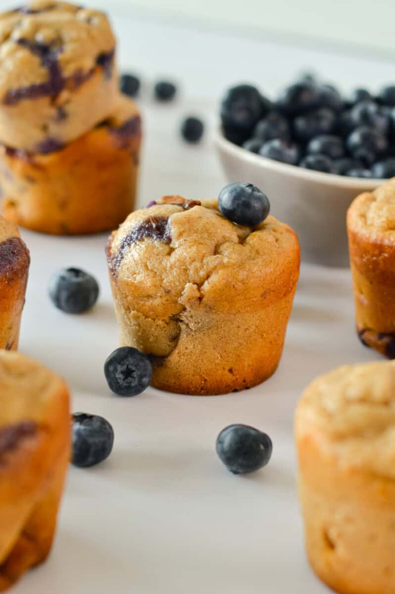 Table with blueberry cottage cheese muffins with blueberries scattered between.