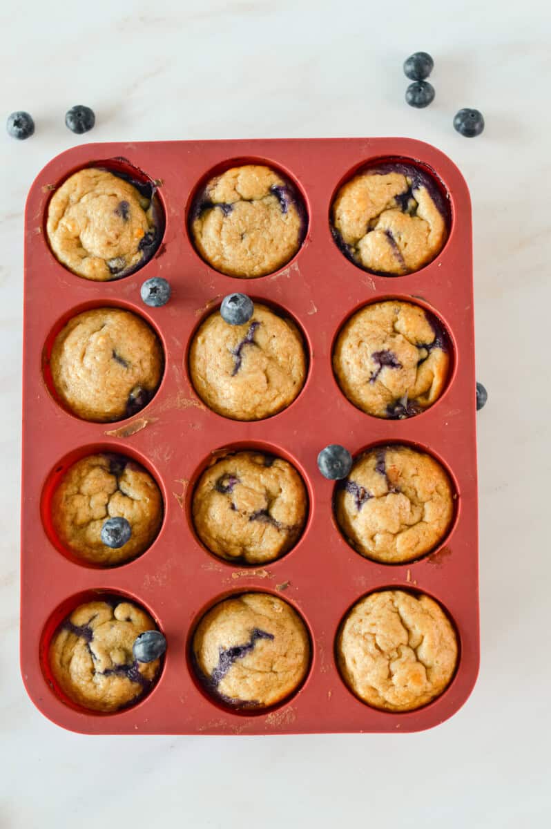 Birds eye view of a muffin tray with cottage cheese blueberry muffins.