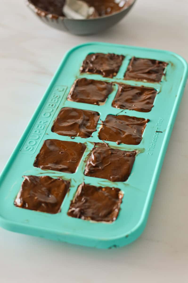 Icecube tray with chocolate covered frozen yogurt bites.