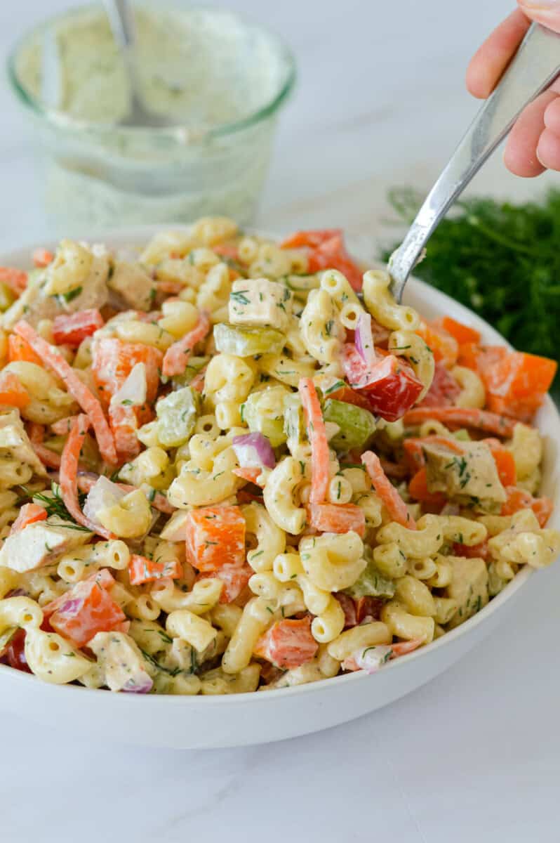 Close up of chicken macaroni pasta salad.