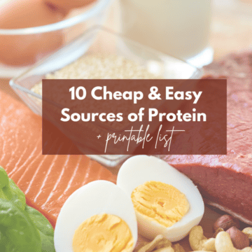cheap sources of protein cover