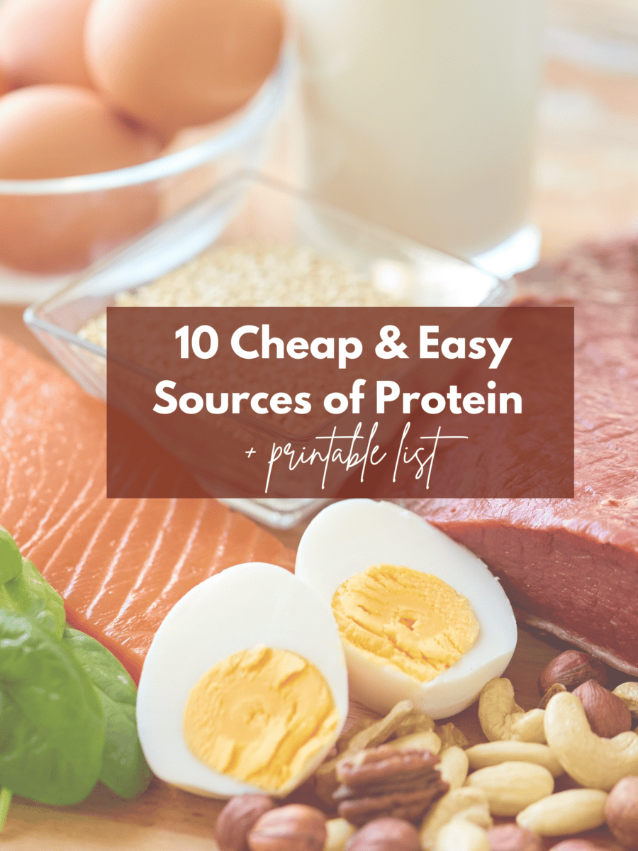 cheap sources of protein cover