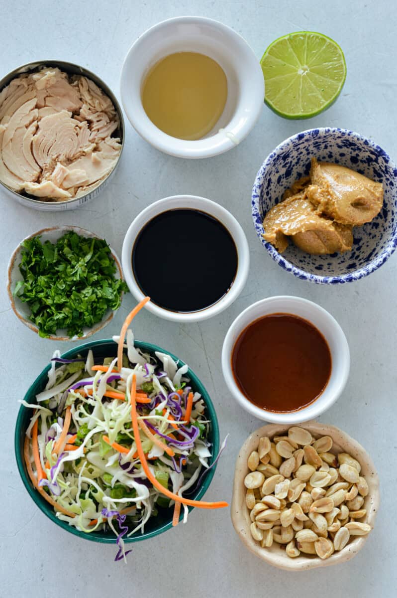 overhead shot of ingredients laid out on grey background 
