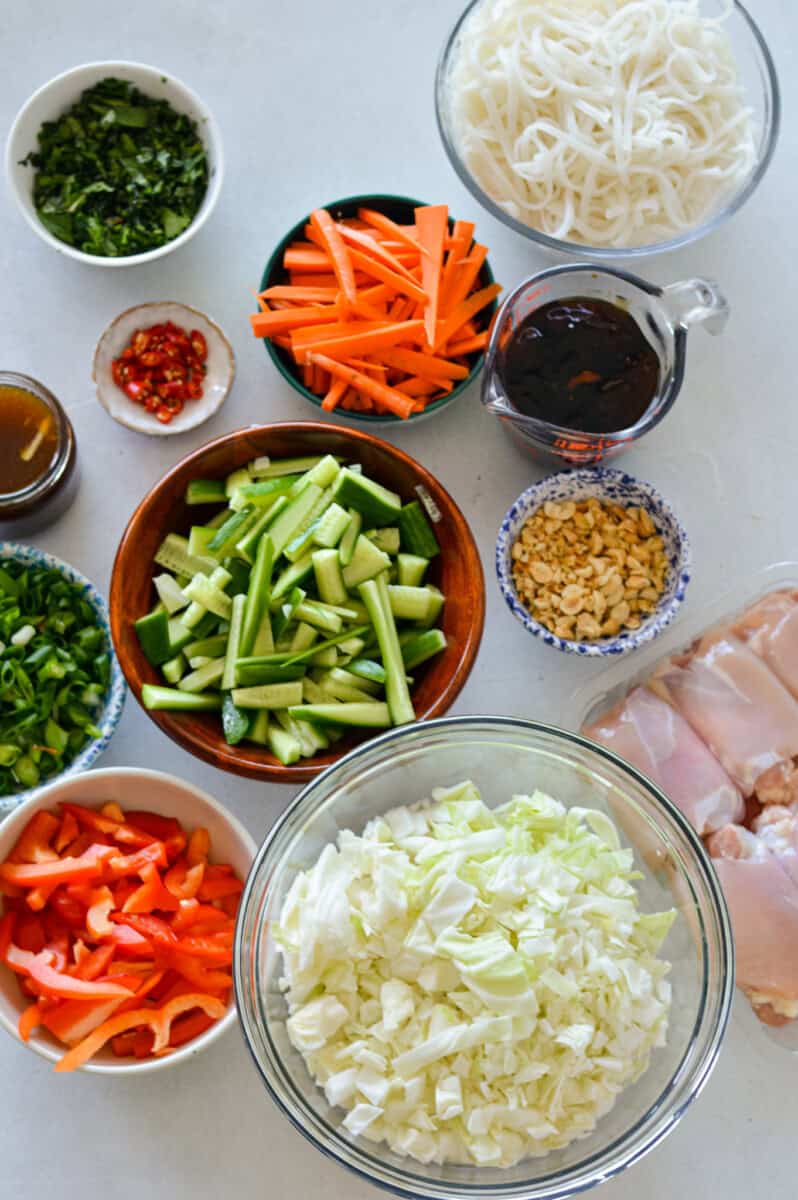 Ingredients including fresh veggies, rice noodles, chicken thighs, peanuts, spring roll sauce, and fresh herbs.